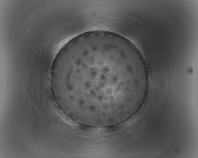 X0000112850879200908281601
