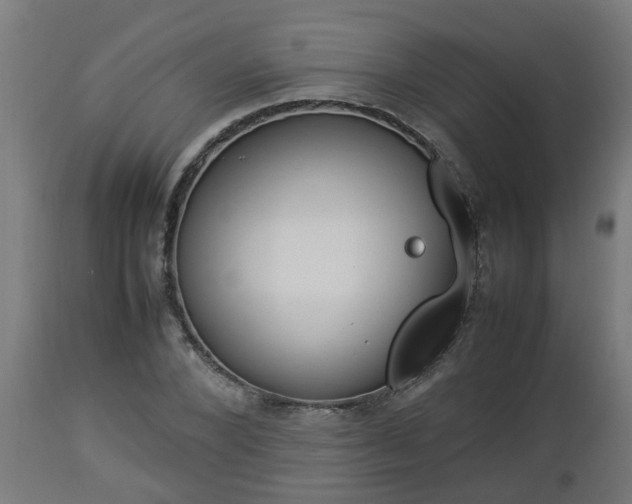 X0000112850880200908281601