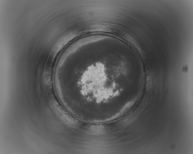X0000112850882200908281601