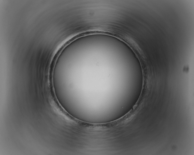 X0000112850884200908281601