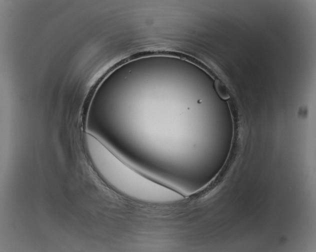 X0000112850885200908281601
