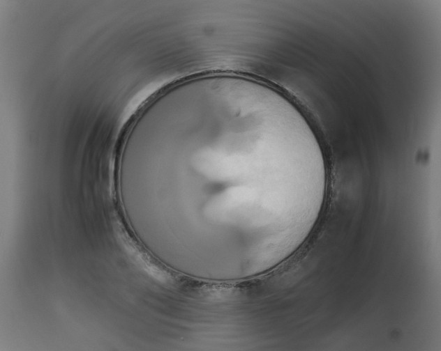 X0000112850886200908281601