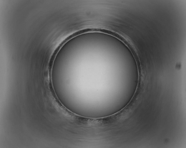 X0000112850887200908281601
