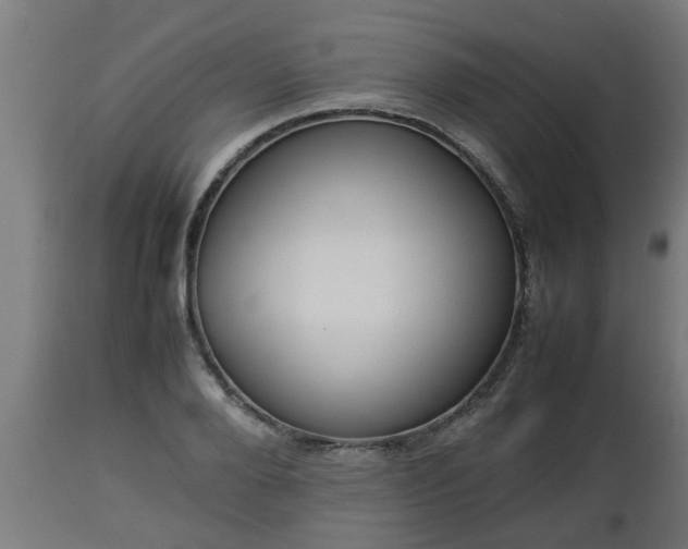 X0000112850888200908281601