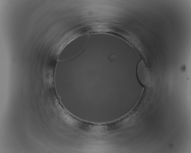 X0000112850889200908281601