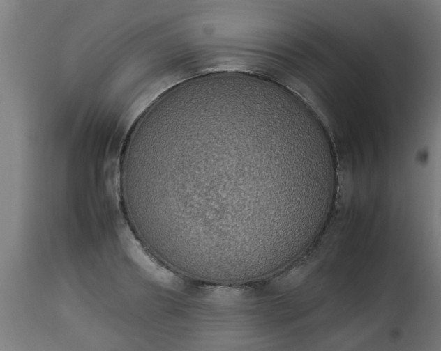 X0000112850890200908281601