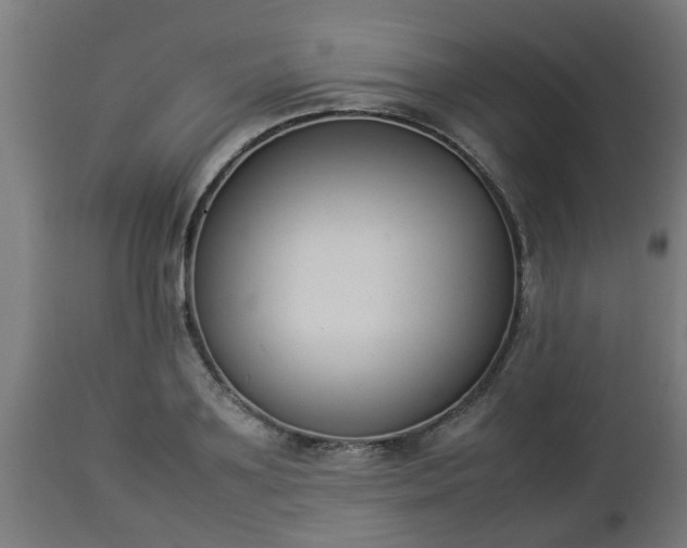 X0000112850891200908281601
