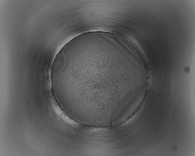 X0000112850892200908281601