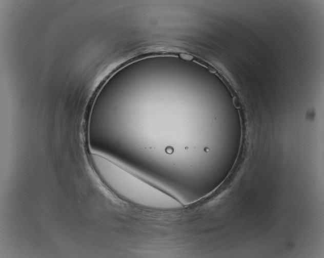 X0000112850893200908281601