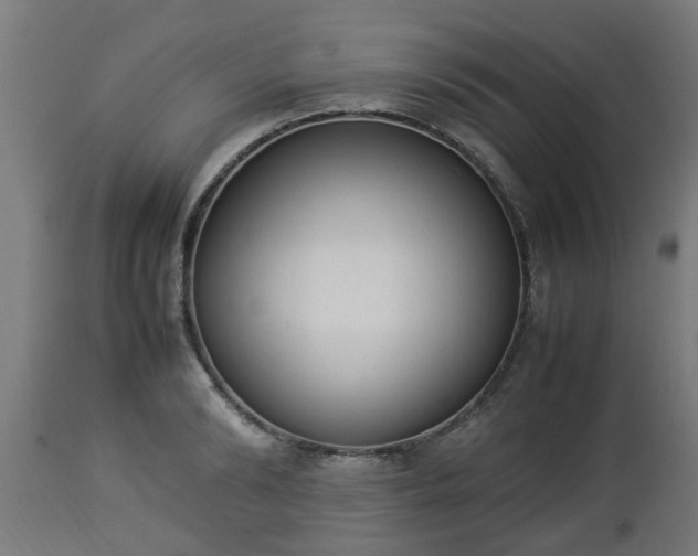 X0000112850894200908281601