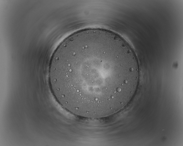 X0000112850895200908281601