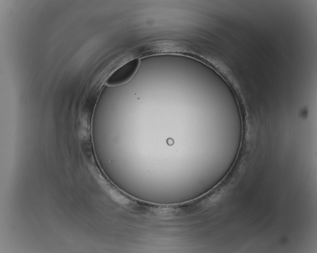 X0000112850897200908281601