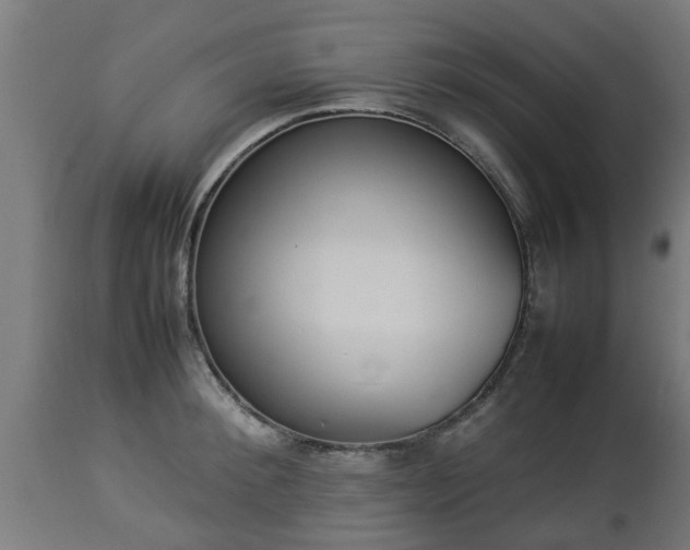 X0000112850900200908281601