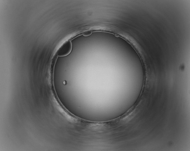 X0000112850902200908281601