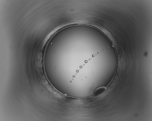 X0000112850904200908281601