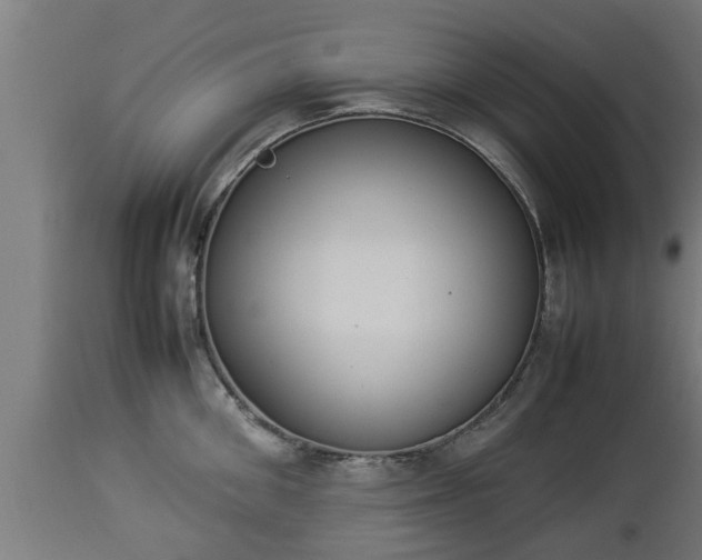 X0000112850906200908281601