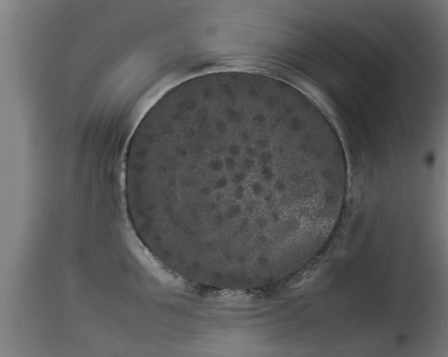 X0000112850907200908281601
