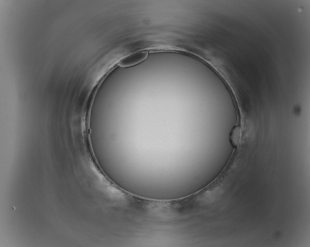 X0000112850909200908281601