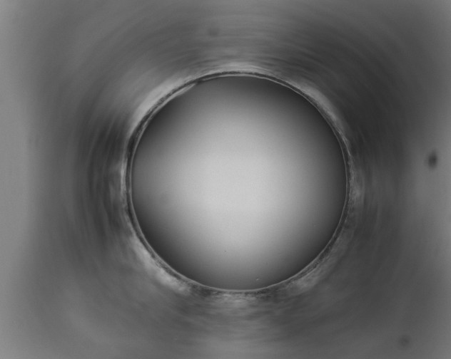 X0000112850910200908281601