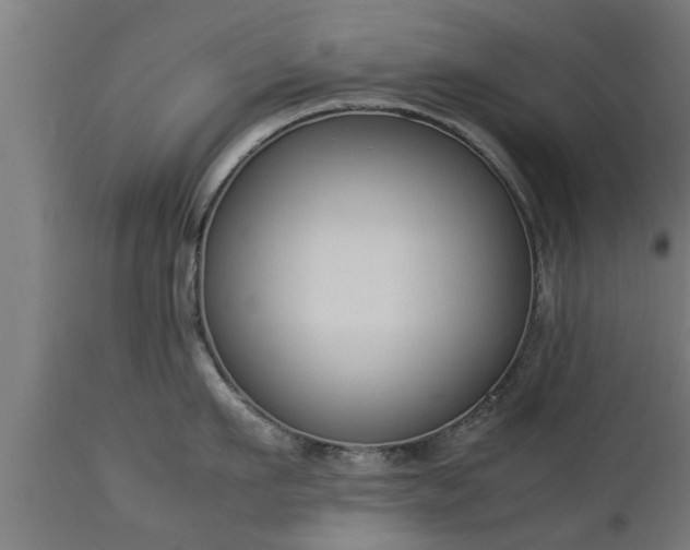 X0000112850911200908281601