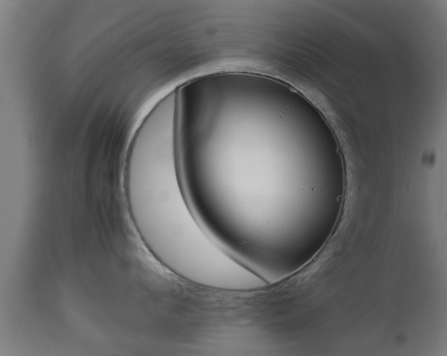 X0000112850912200908281601