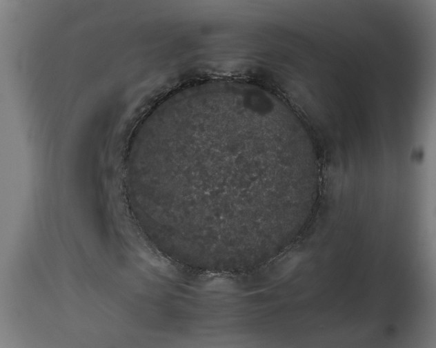 X0000112850913200908281600