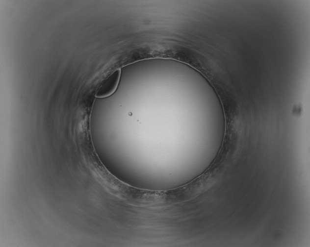 X0000112850914200908281600