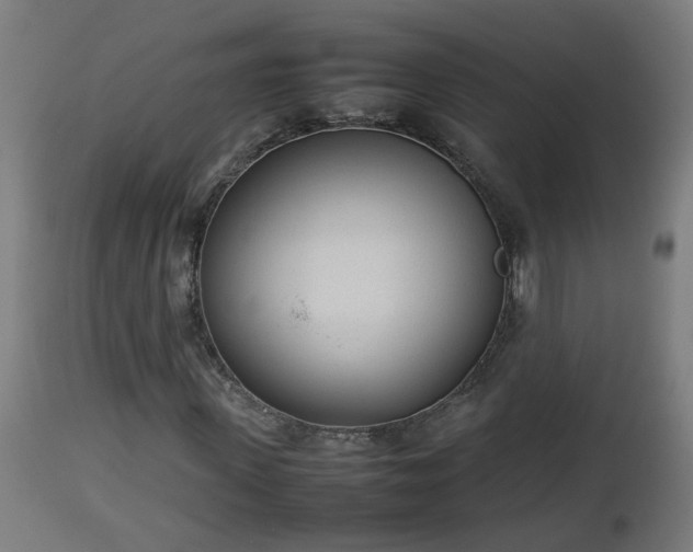 X0000112850915200908281600