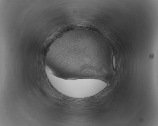 X0000112850916200908281600