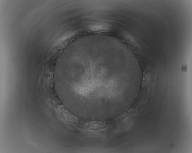 X0000112850917200908281600