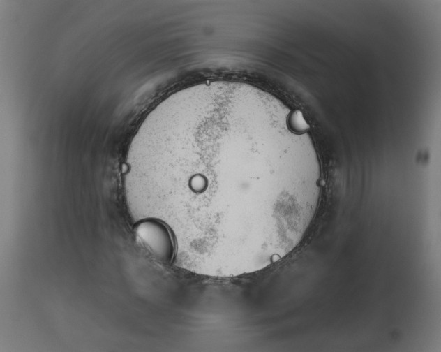 X0000112850918200908281600