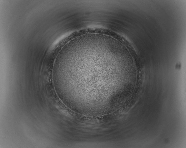 X0000112850919200908281600