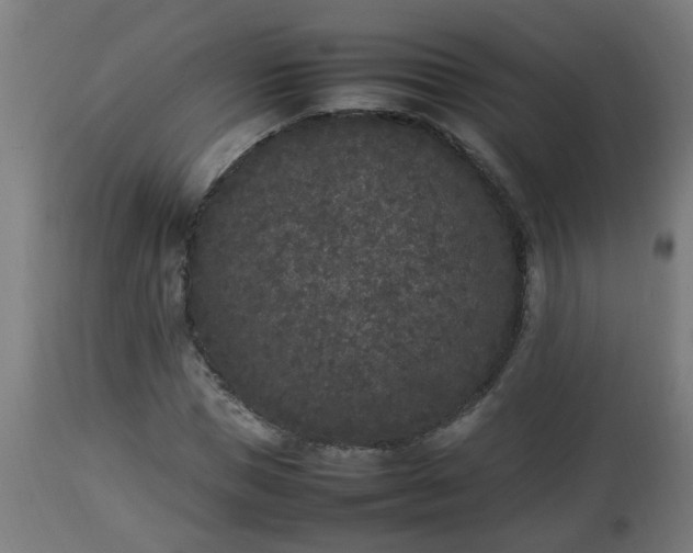 X0000112850921200908281600