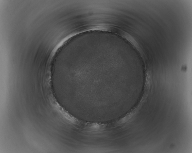 X0000112850923200908281600