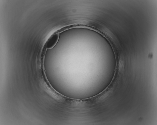 X0000112850924200908281600
