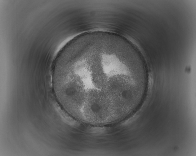 X0000112850925200908281600
