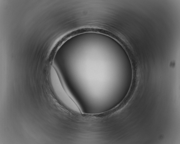 X0000112850926200908281600