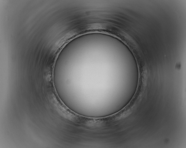 X0000112850929200908281600