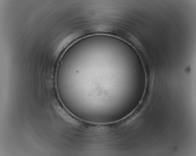 X0000112850930200908281600