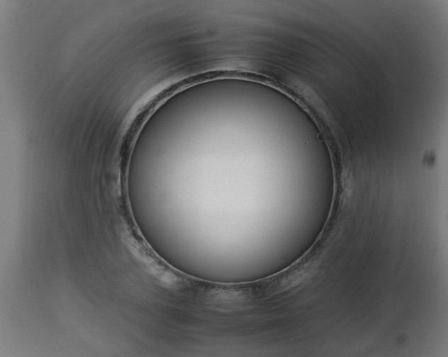 X0000112850931200908281600
