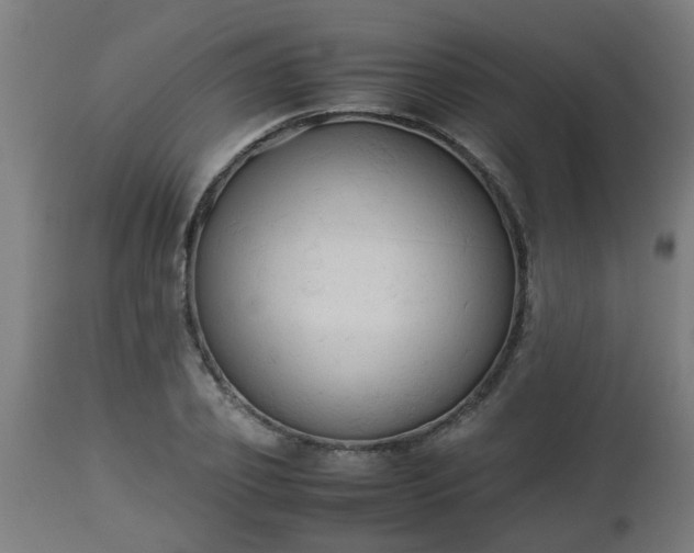 X0000112850933200908281600