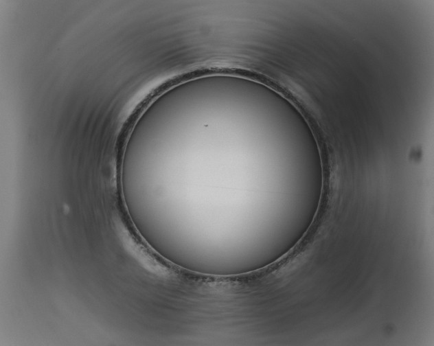 X0000112850934200908281600