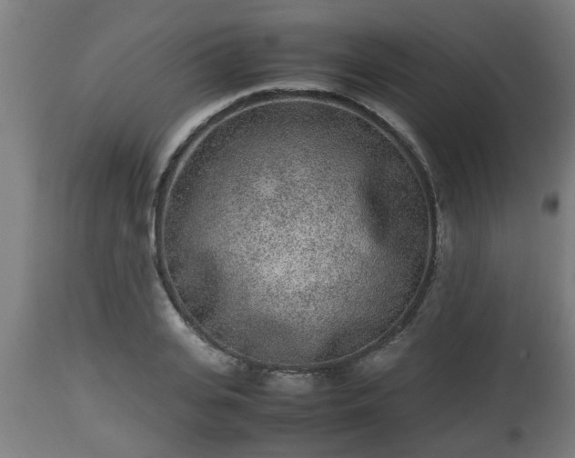 X0000112850935200908281600