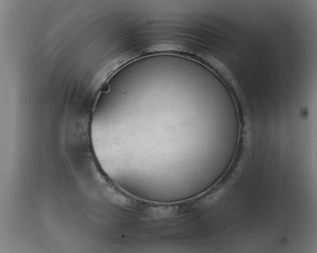 X0000112850937200908281600