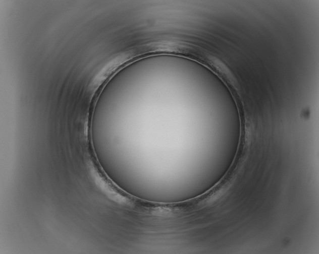 X0000112850938200908281600