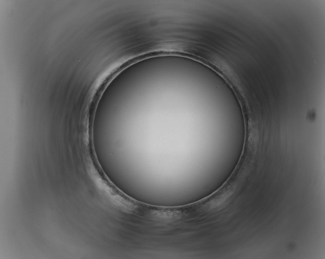 X0000112850939200908281600