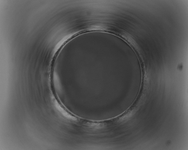 X0000112850941200908281600