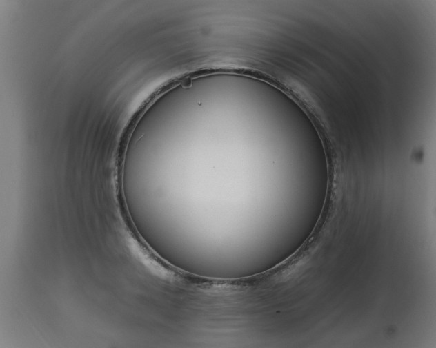 X0000112850942200908281600