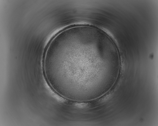 X0000112850943200908281600