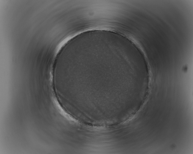 X0000112850944200908281600